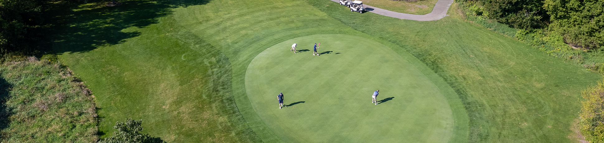 aerial view of golfers on course green